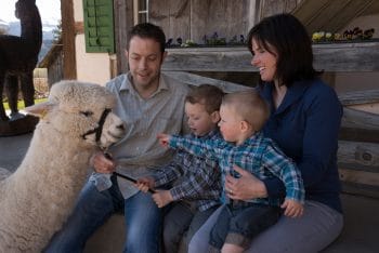 Famillie Balsiger – Alpakazüchter