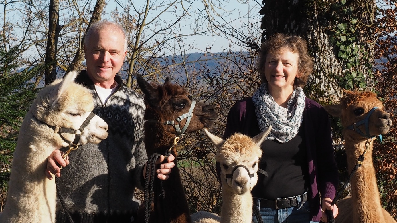 Familie Nydegger – Alpakazüchter