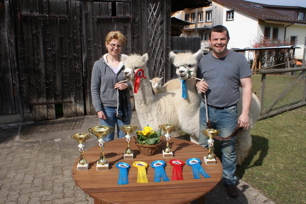 Familie Zollinger- Alpakazüchter